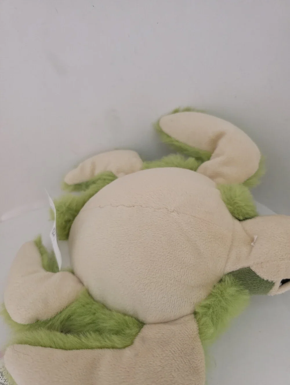 N/A turtle 10